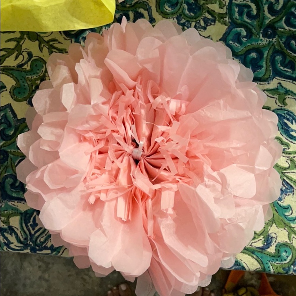 Meet your Posher, Shelli